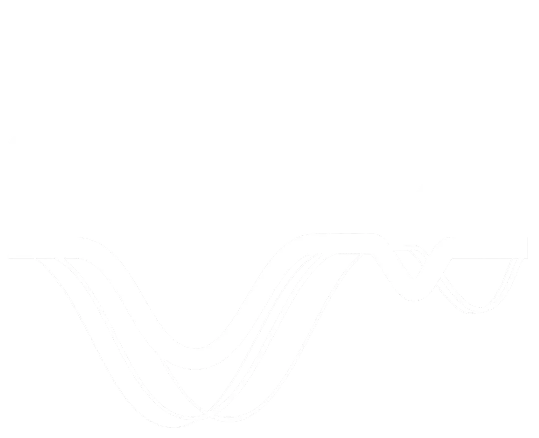 heavy sonics logo